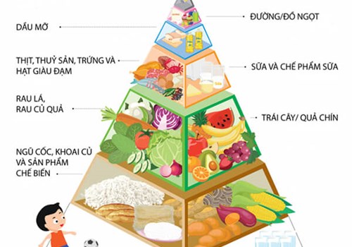 DINH DƯỠNG HỌC ĐƯỜNG: NỀN TẢNG VÀNG CHO TƯƠNG LAI PHÁT TRIỂN