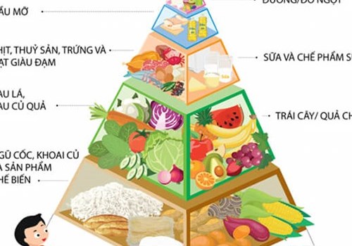 SCHOOL NUTRITION: A GOLDEN FOUNDATION FOR FUTURE DEVELOPMENT